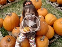 MOV03273