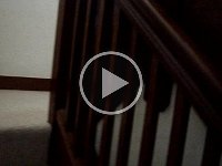 MOV02816