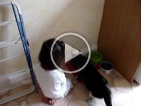 MOV05252