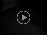 MOV03687