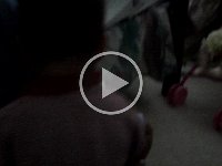 MOV03725
