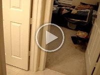 MOV03597