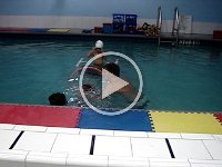 MOV03948