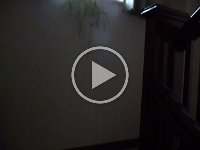 P1000104