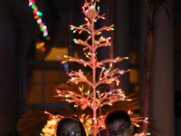 DSC 4135