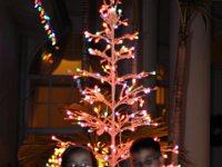 DSC 4136