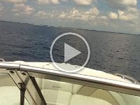 IMG 0273