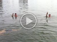 IMG 0306