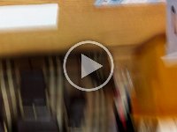 IMG 0336