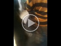 IMG 0392