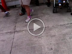 IMG 0702
