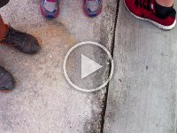 IMG 0362