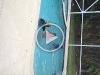 IMG 4197