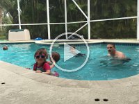 IMG 0823