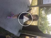 IMG 0839