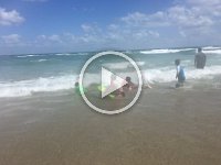 IMG 0886