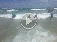 IMG 0887