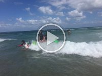 IMG 0890