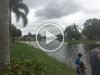 IMG 0917