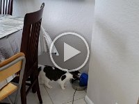 20180915 131144