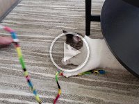 20190929 113440