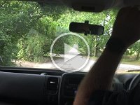 IMG 7728