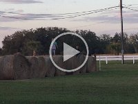 IMG 0747