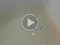 DJI 0598