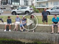 DJI 0604