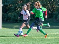 DSC 7772 : Soccer 01-06-18