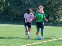 DSC 7784 : Soccer 01-06-18
