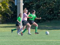 DSC 7900 : Soccer 01-06-18