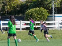 DSC 7934 : Soccer 01-06-18