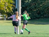 DSC 8020 : Soccer 01-06-18