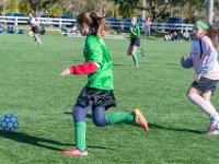 DSC 8053 : Soccer 01-06-18