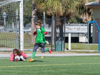 DSC 8105 : Soccer 01-06-18