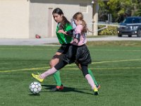 DSC 8310 : Soccer 01-06-18