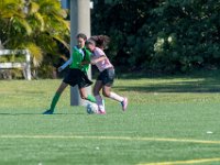 DSC 8540 : Soccer 01-06-18