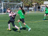 DSC 8804 : Soccer 01-06-18