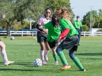 DSC 7745 : Soccer 01-06-18