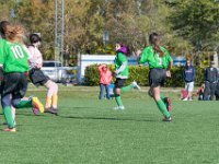DSC 7798 : Soccer 01-06-18