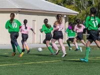 DSC 7800 : Soccer 01-06-18
