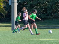 DSC 7901 : Soccer 01-06-18