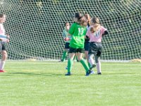 DSC 8013 : Soccer 01-06-18
