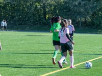 DSC 8216 : Soccer 01-06-18
