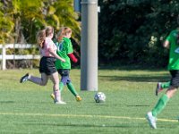 DSC 8391 : Soccer 01-06-18
