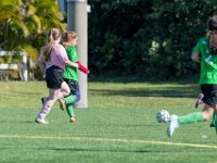 DSC 8392 : Soccer 01-06-18