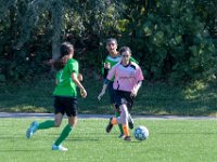 DSC 8452 : Soccer 01-06-18