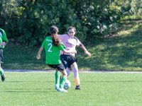 DSC 8455 : Soccer 01-06-18