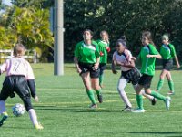 DSC 8492 : Soccer 01-06-18